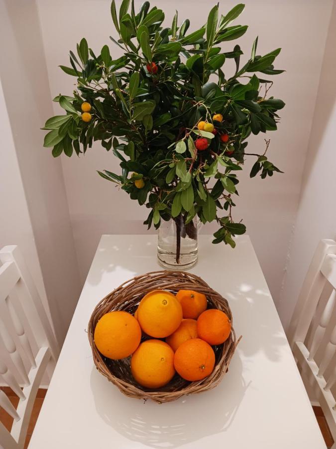 Casa Di Nonna Leilighet *