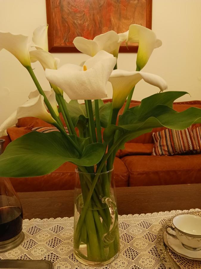 Casa Di Nonna Khania